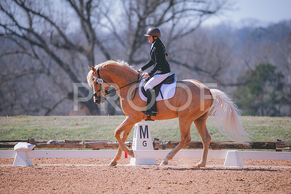 RWP_1493