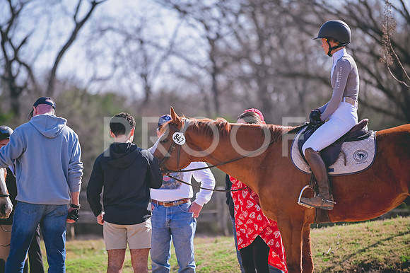 DSC_0397