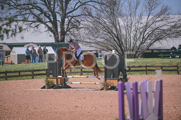 DSC_2518