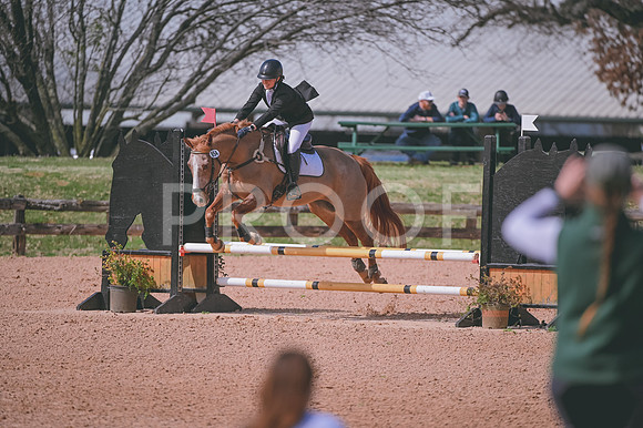 DSC_7539