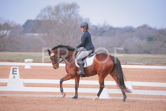 RWP_0708