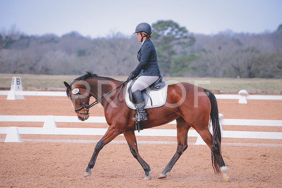 RWP_0705