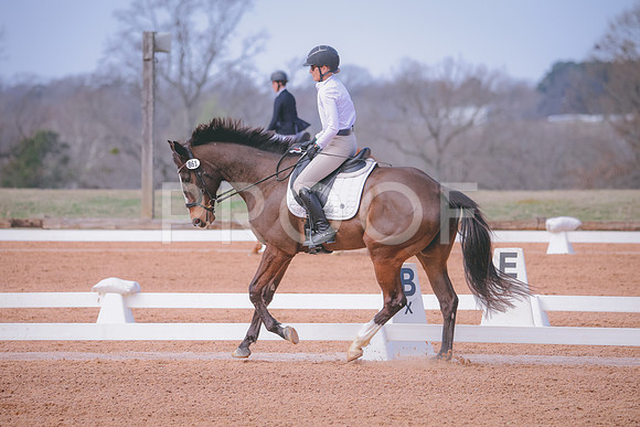 RWP_0795
