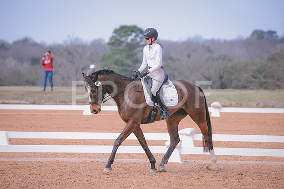 RWP_0797