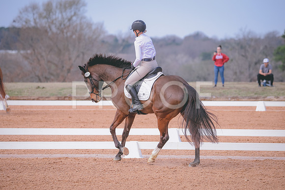 RWP_0794