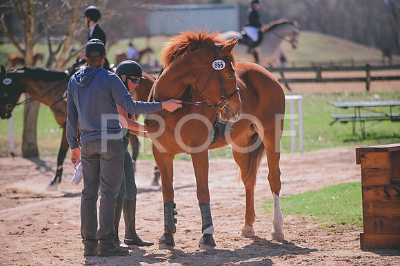 DSC_4783
