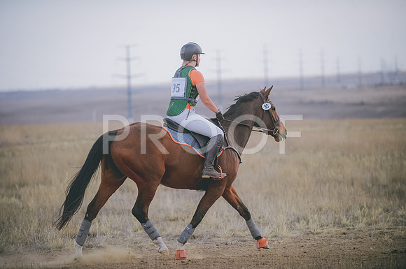JJS_5796