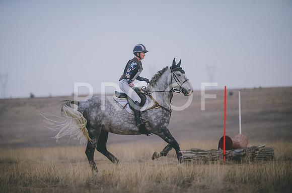 JJS_4031