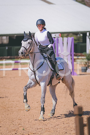 56386130-5638954814165