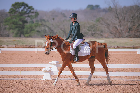RWP_1094