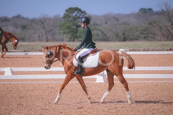 RWP_1104