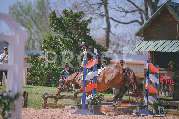 DSC_6551