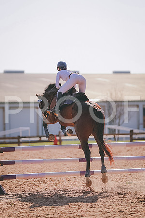 52954231-5295764917069