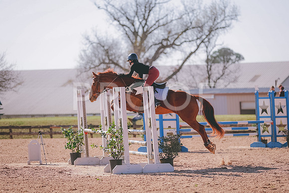 39265820-392692389870