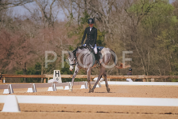 30351478-303548964492