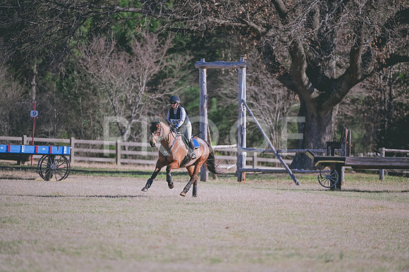 DSC_9188