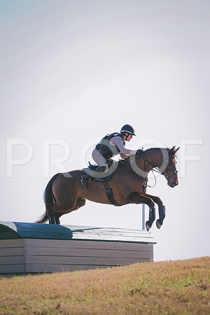 RWP_1941