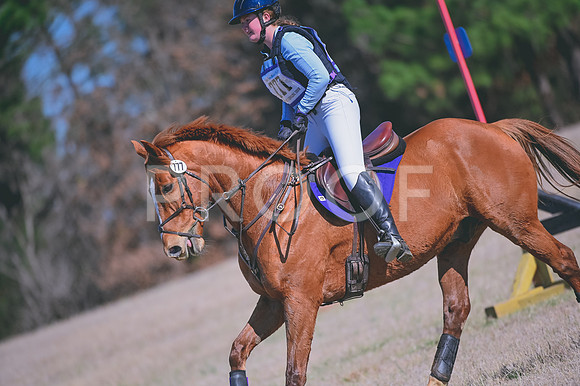 DSC_2338
