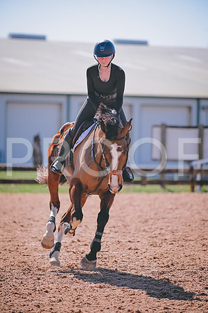 DSC_2005