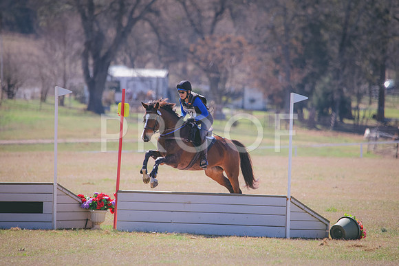 RWP_2178