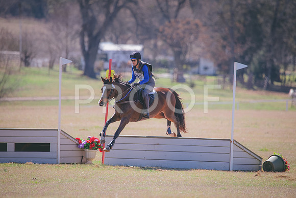 RWP_2179