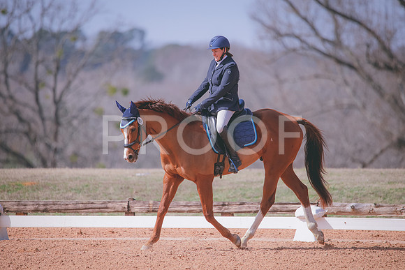RWP_1064