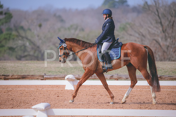RWP_1062