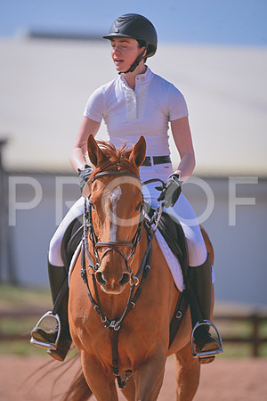DSC_8924