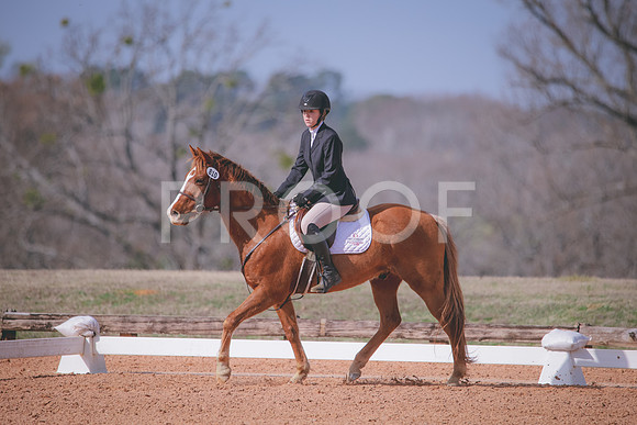RWP_0637