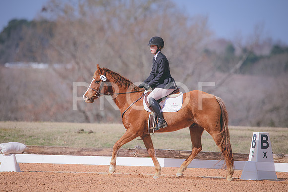 RWP_0639