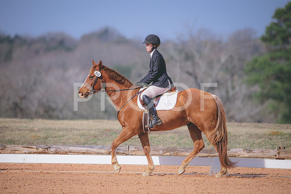 RWP_0638