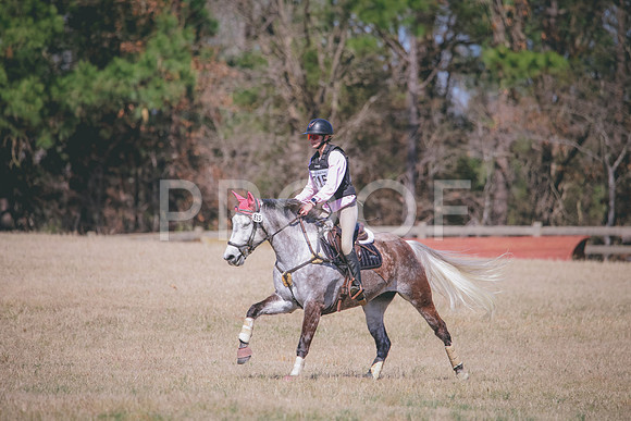 RWP_2474