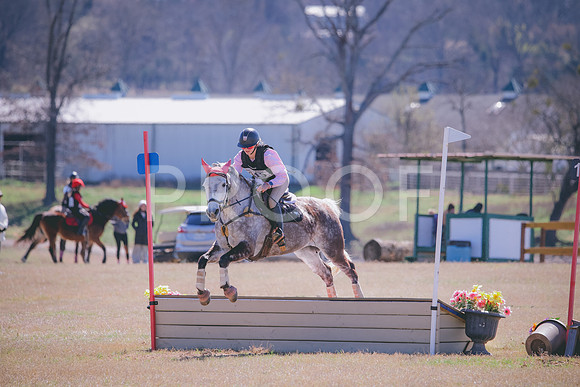 RWP_2484