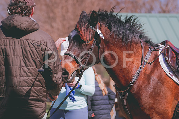 MVP_4537