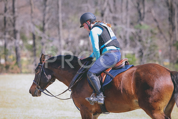 RWP_2512
