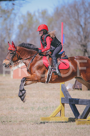 RWP_2519