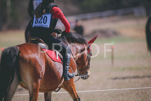RWP_2535