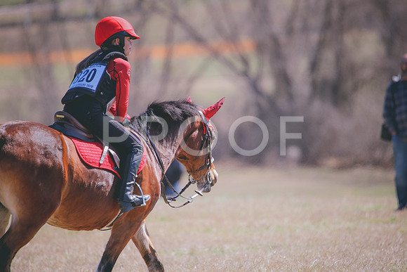 RWP_2536