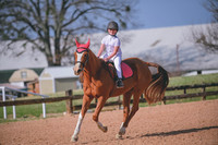 DSC_1253