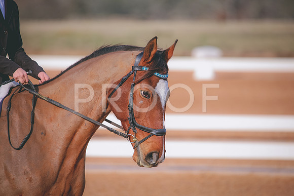 RWP_0277