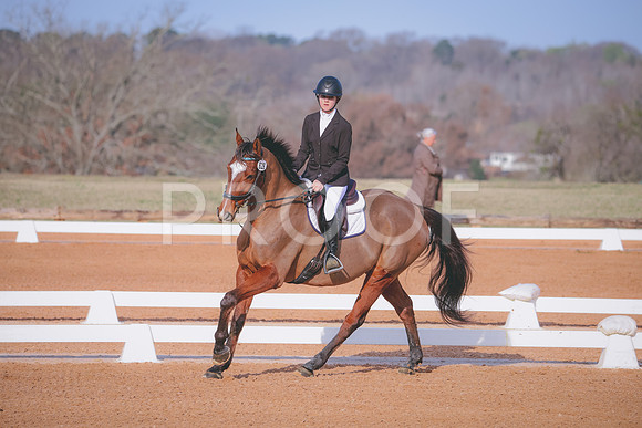 RWP_0278