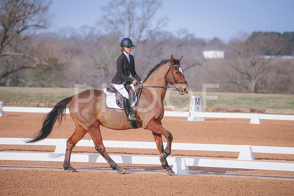 RWP_0279