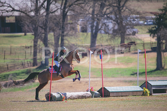 RWP_2594