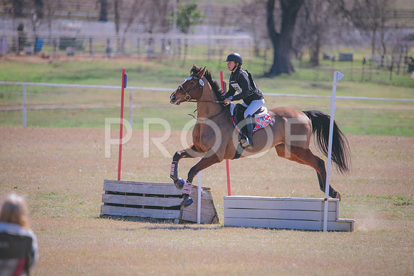 RWP_2601