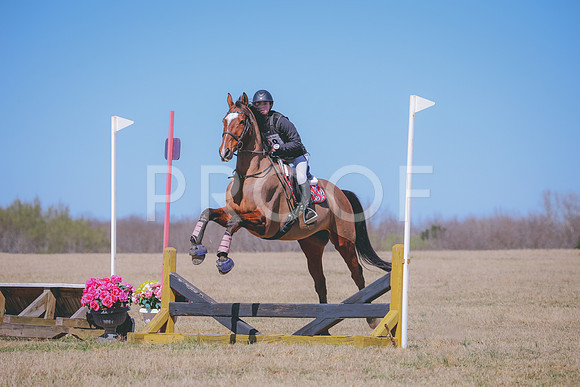 RWP_2596