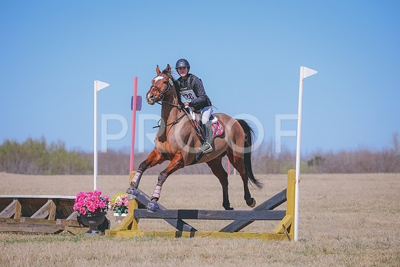 RWP_2597