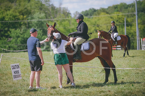 JJS_3644