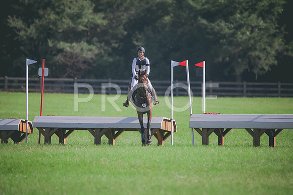 RWP_6227