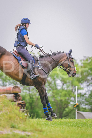 DSC_4717 copy