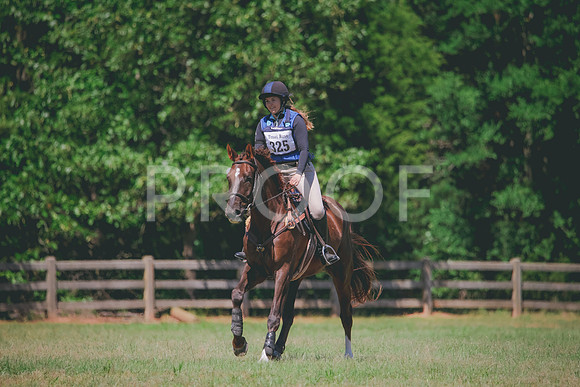 RWP_1084